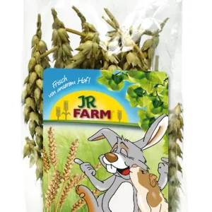 Schneller Versand JR FARM Knabber-Ähren 30g Kleintiersnack